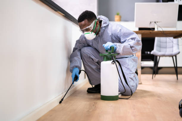 Best Pest Control for Multi-Family Homes  in Elmira, NY